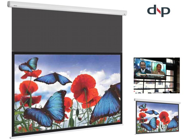 DNP 120" SNS Flex Classic V3.0, 16:9